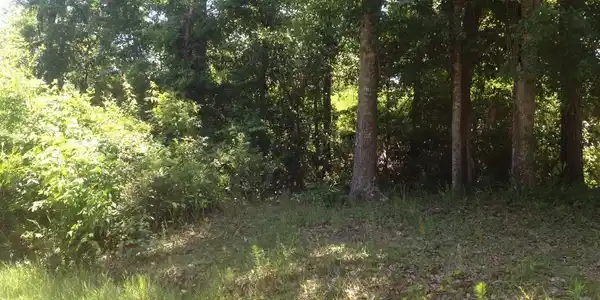 Lot 4 Maple Avenue