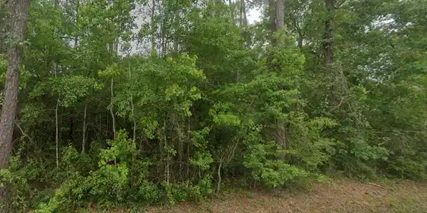 Image 2: Lot 10 street view