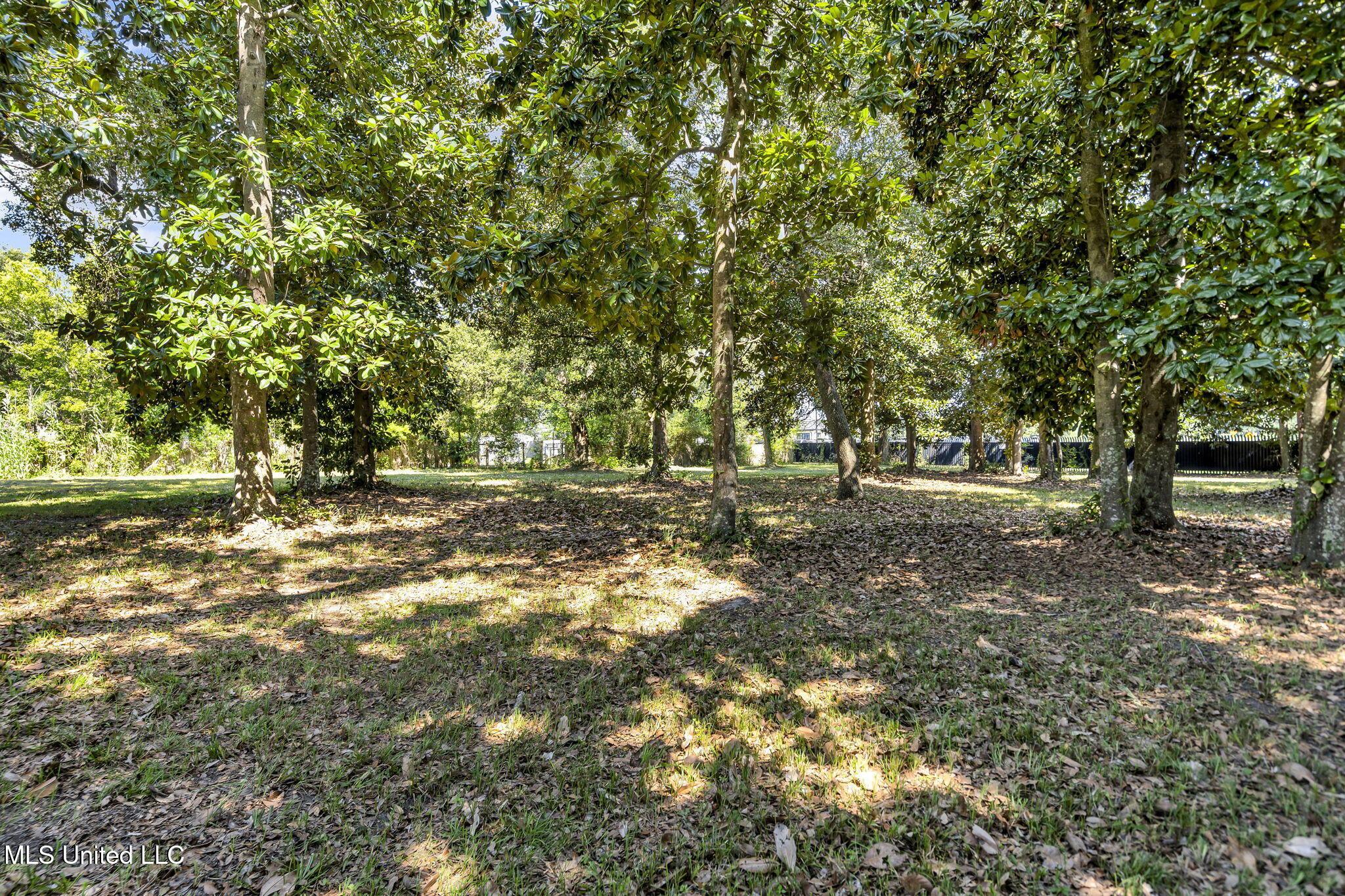 Image 2: 2-web-or-mls-1126 Judge Sekul Ave 10