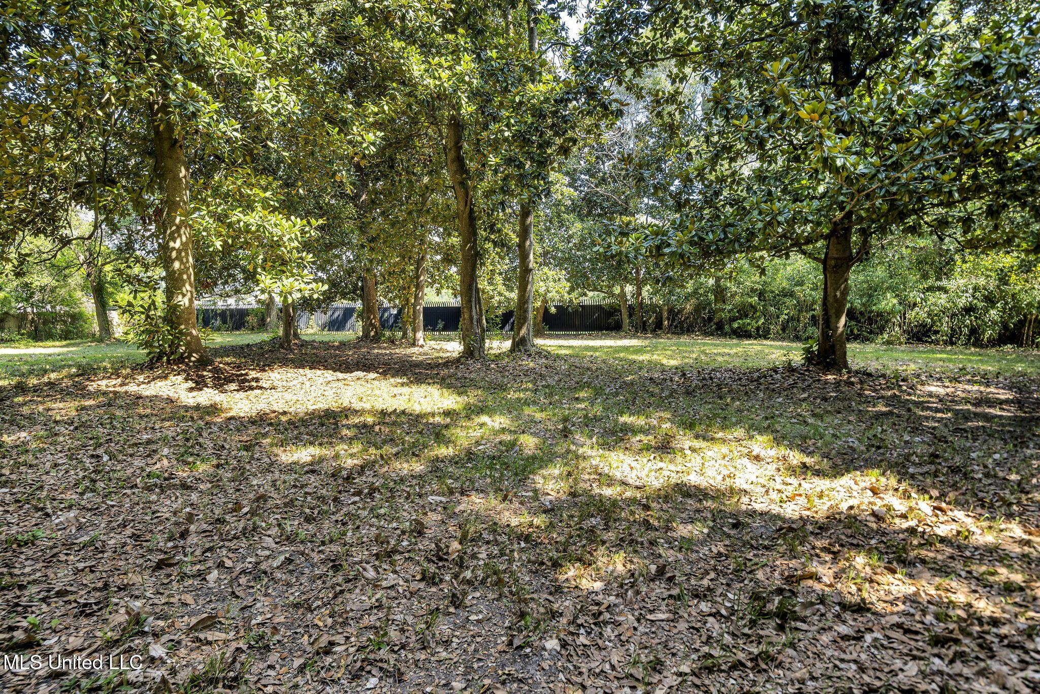 Image 3: 3-web-or-mls-1126 Judge Sekul Ave 11