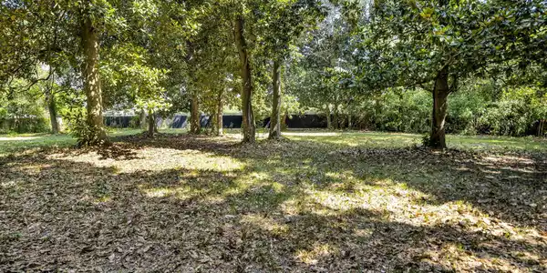 Image 3: 3-web-or-mls-1126 Judge Sekul Ave 11