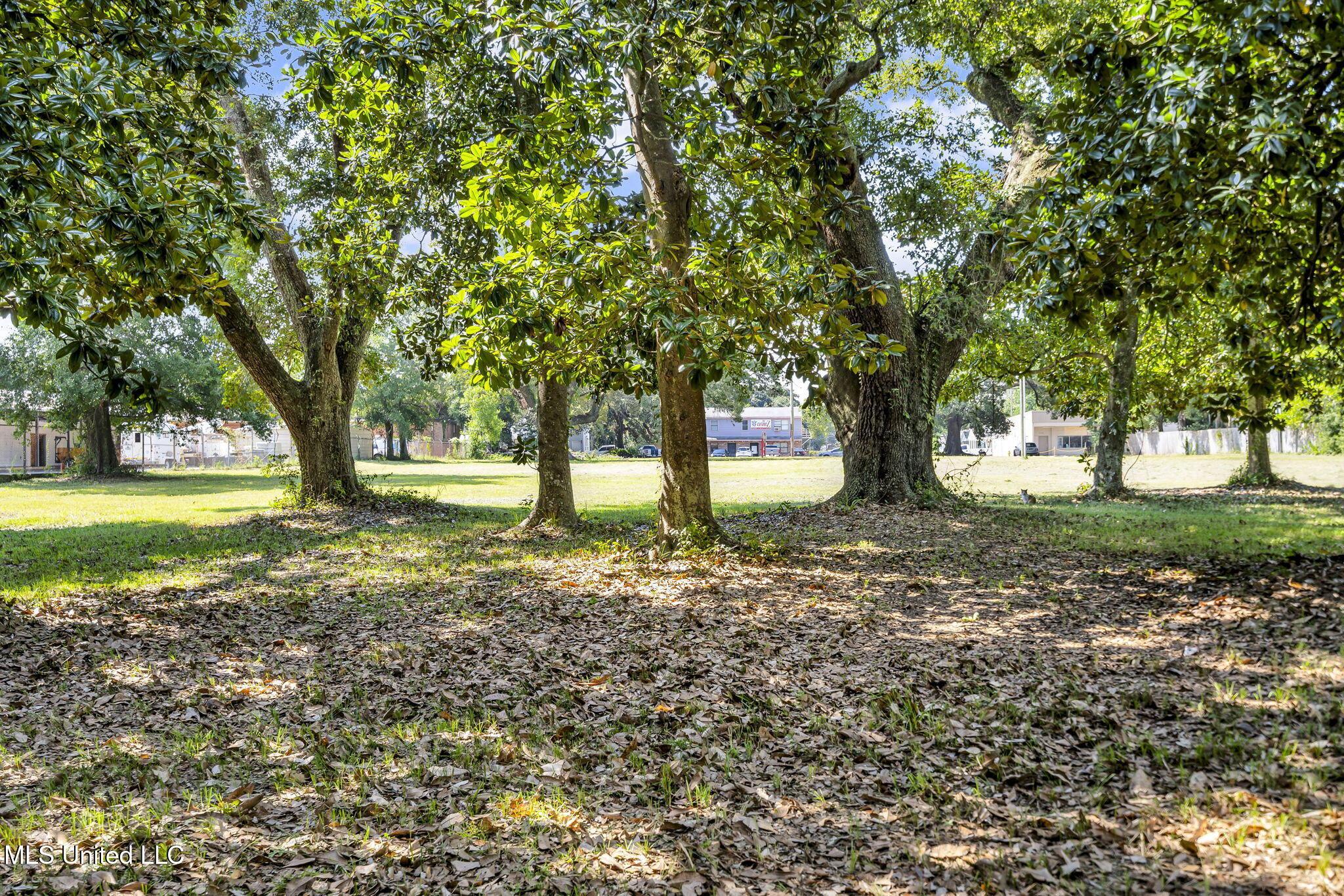 Image 4: 4-web-or-mls-1126 Judge Sekul Ave 12