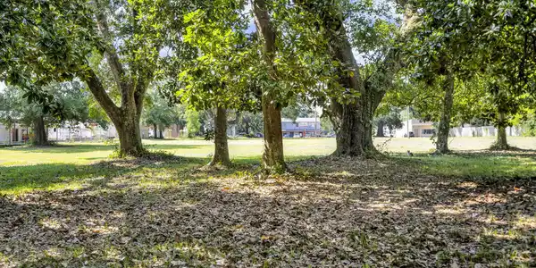 Image 4: 4-web-or-mls-1126 Judge Sekul Ave 12