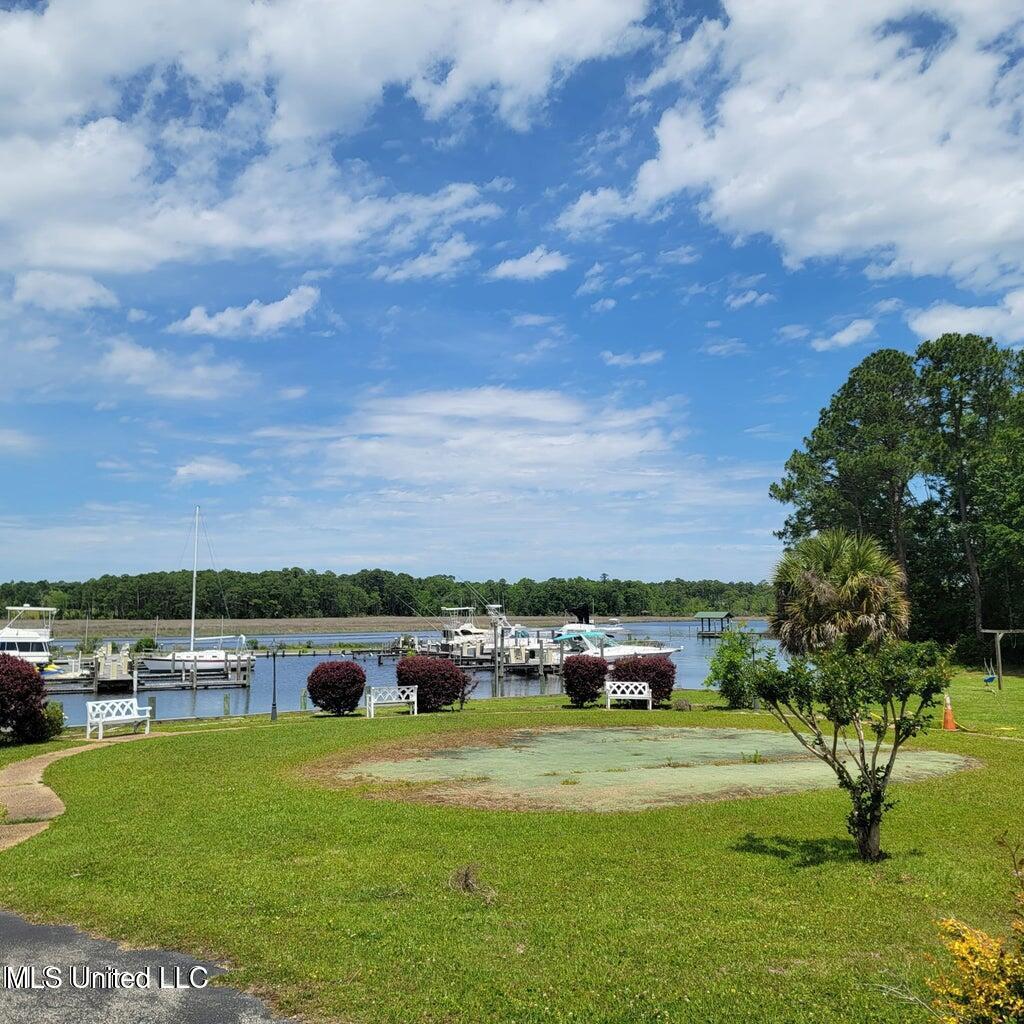 Image 2: grass and marina 10