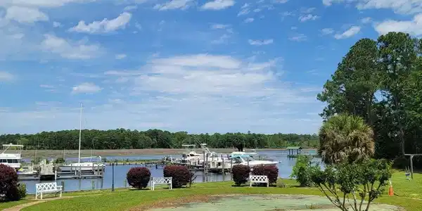Image 2: grass and marina 10