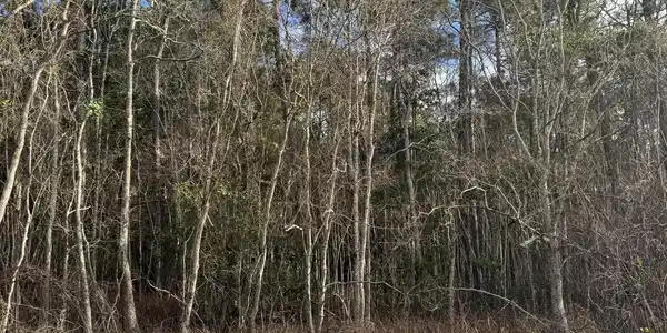 Lot 2225 Peach Street