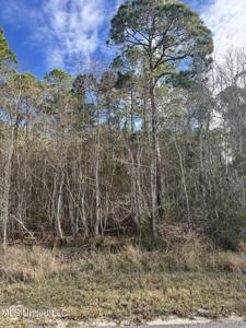 Lot 2221 Peach Street