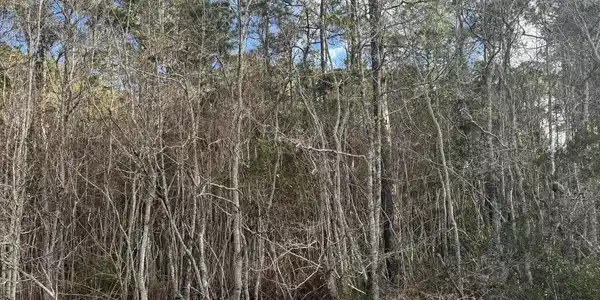Lot 2221 Peach Street