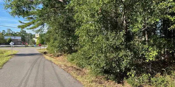 Gwen Avenue
