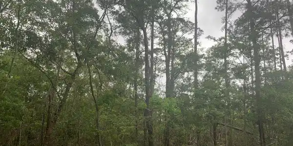 0 Kiln Waveland Cutoff Road