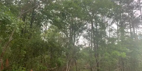 Image 3: 20210821101503707228000000-o