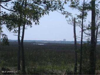 Image 2: View from the property