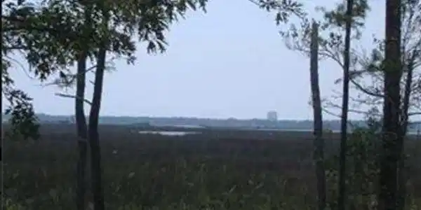 Image 2: View from the property