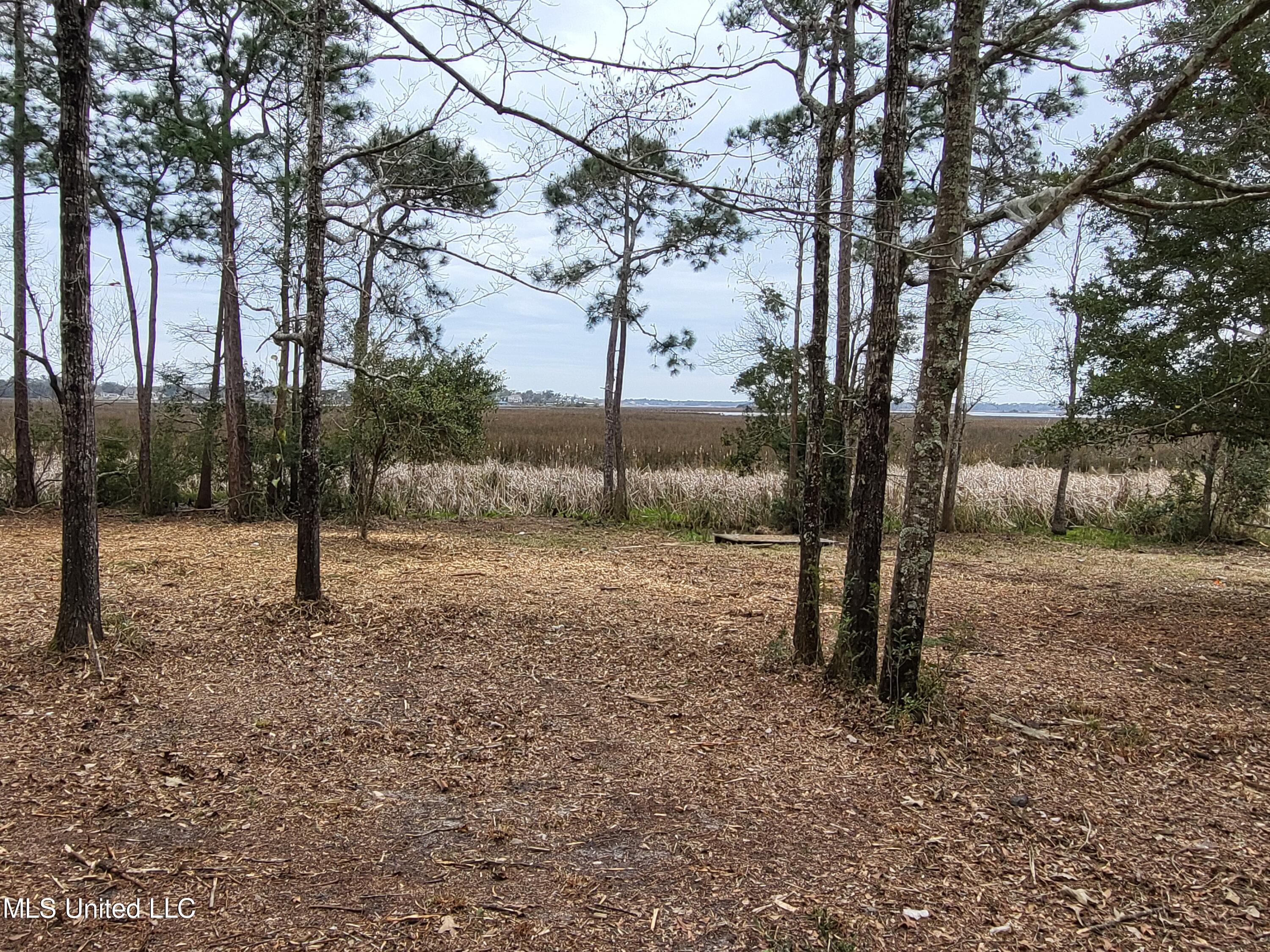 Image 4: 20230215_154526