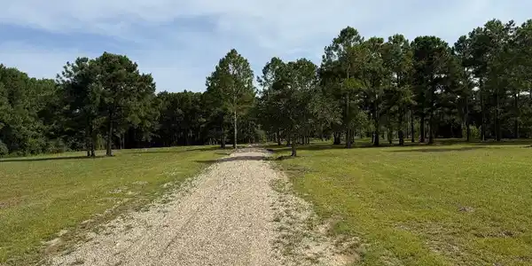 Image 2: AL8