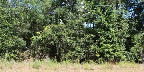 Image 2: HURON ST1