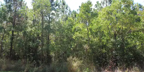 Image 2: 13TH ST2