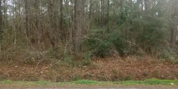 00 Kiln-Waveland Cutoff Road