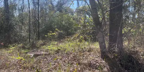 Lot 19 Seacliff Boulevard