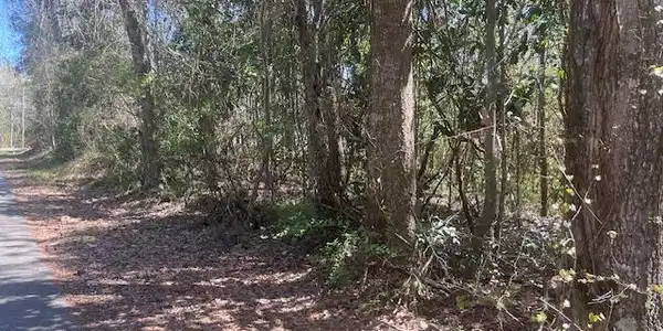 Lot 21 Hickory Drive