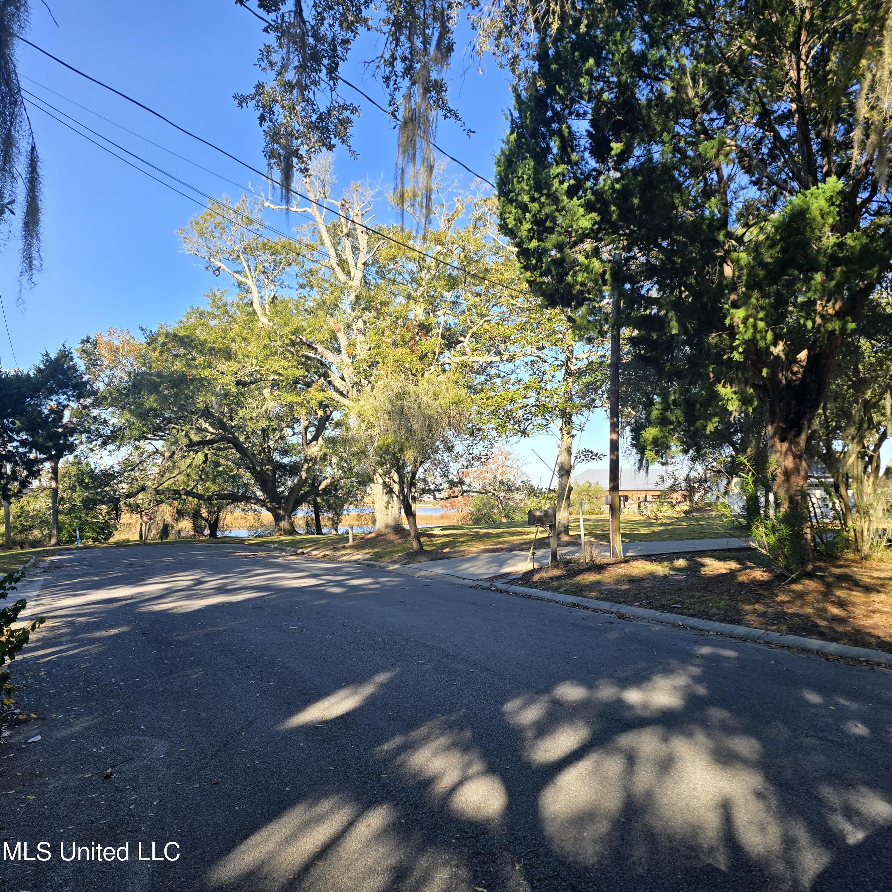 Image 4: 20251215_090350