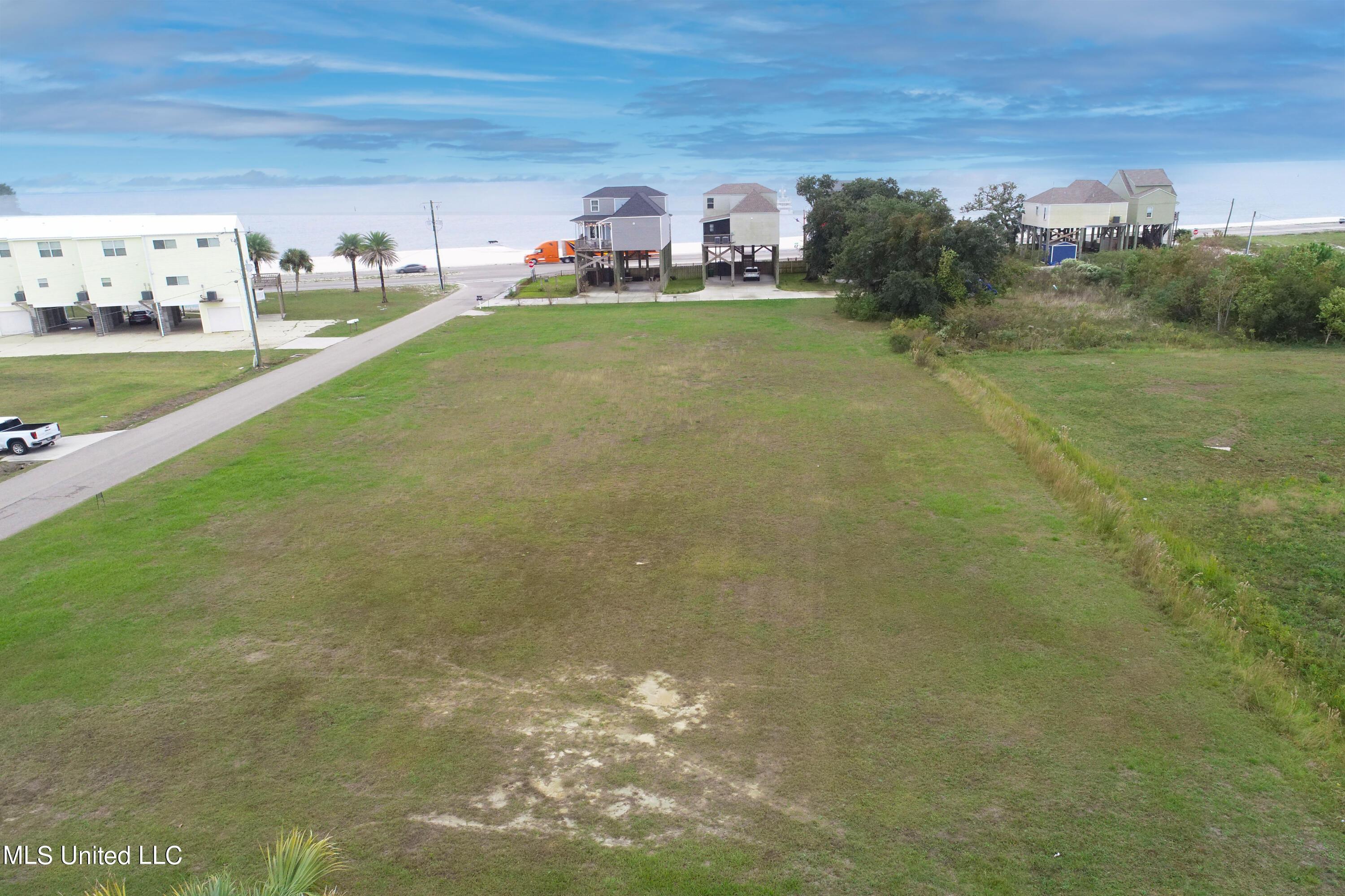 Image 1: Aerial