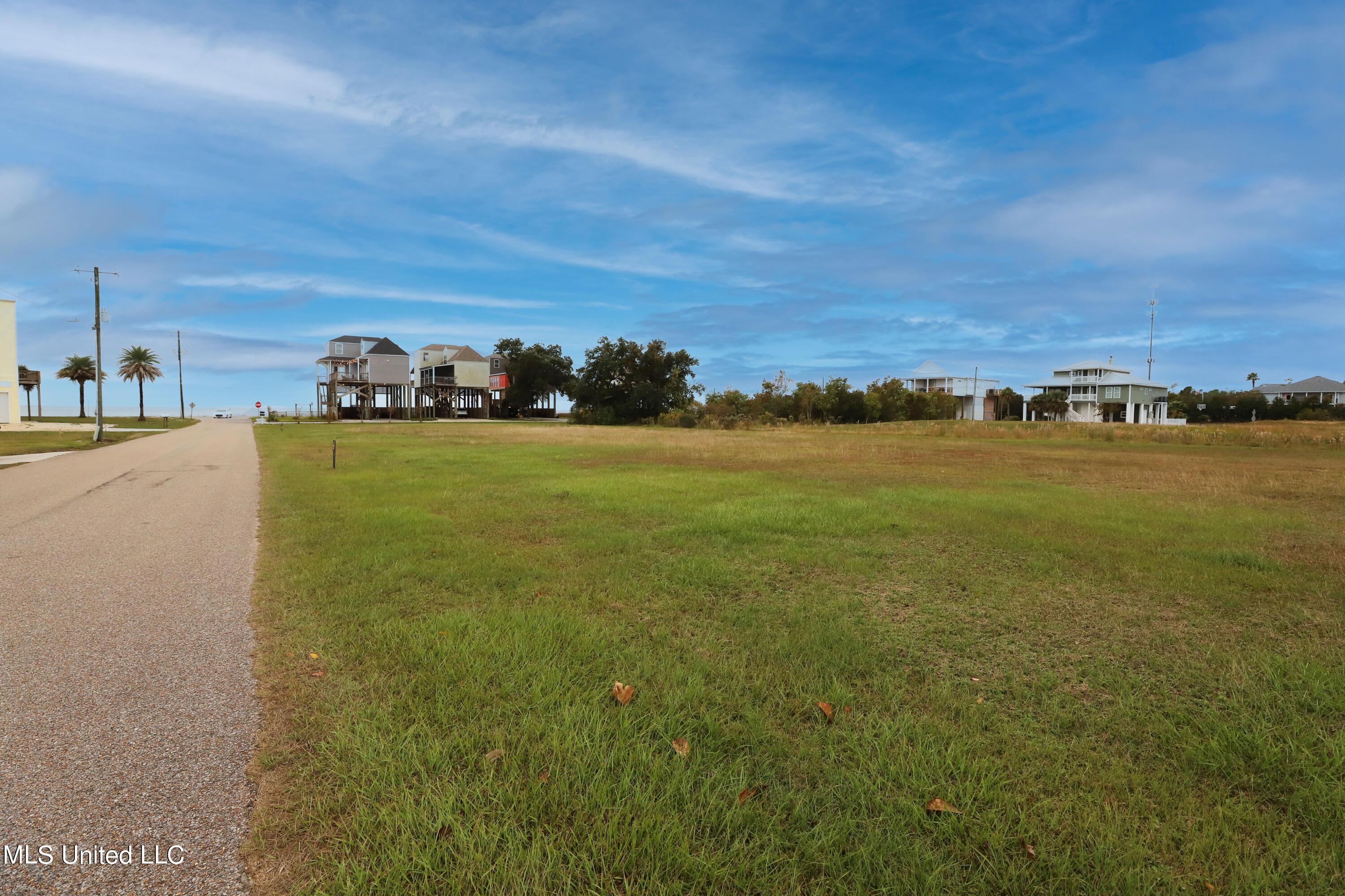 Image 4: Lot