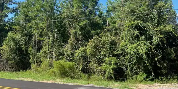 Bayou Drive