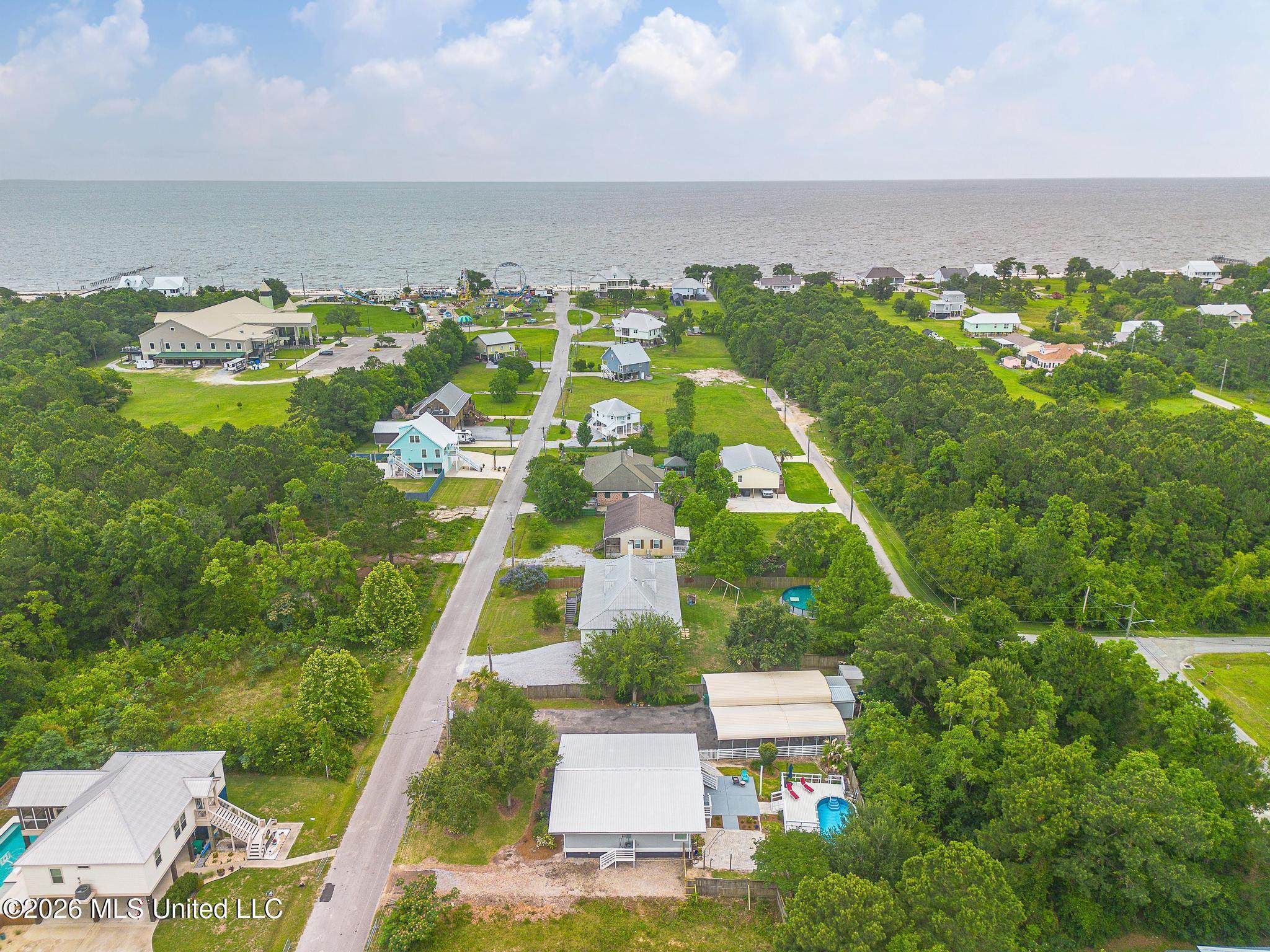 Image 4: Aerial View