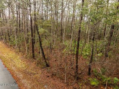 Lot 3099 Lynne Street