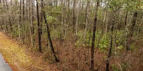 Lot 3099 Lynne Street