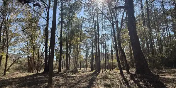 0000 Pabst Road