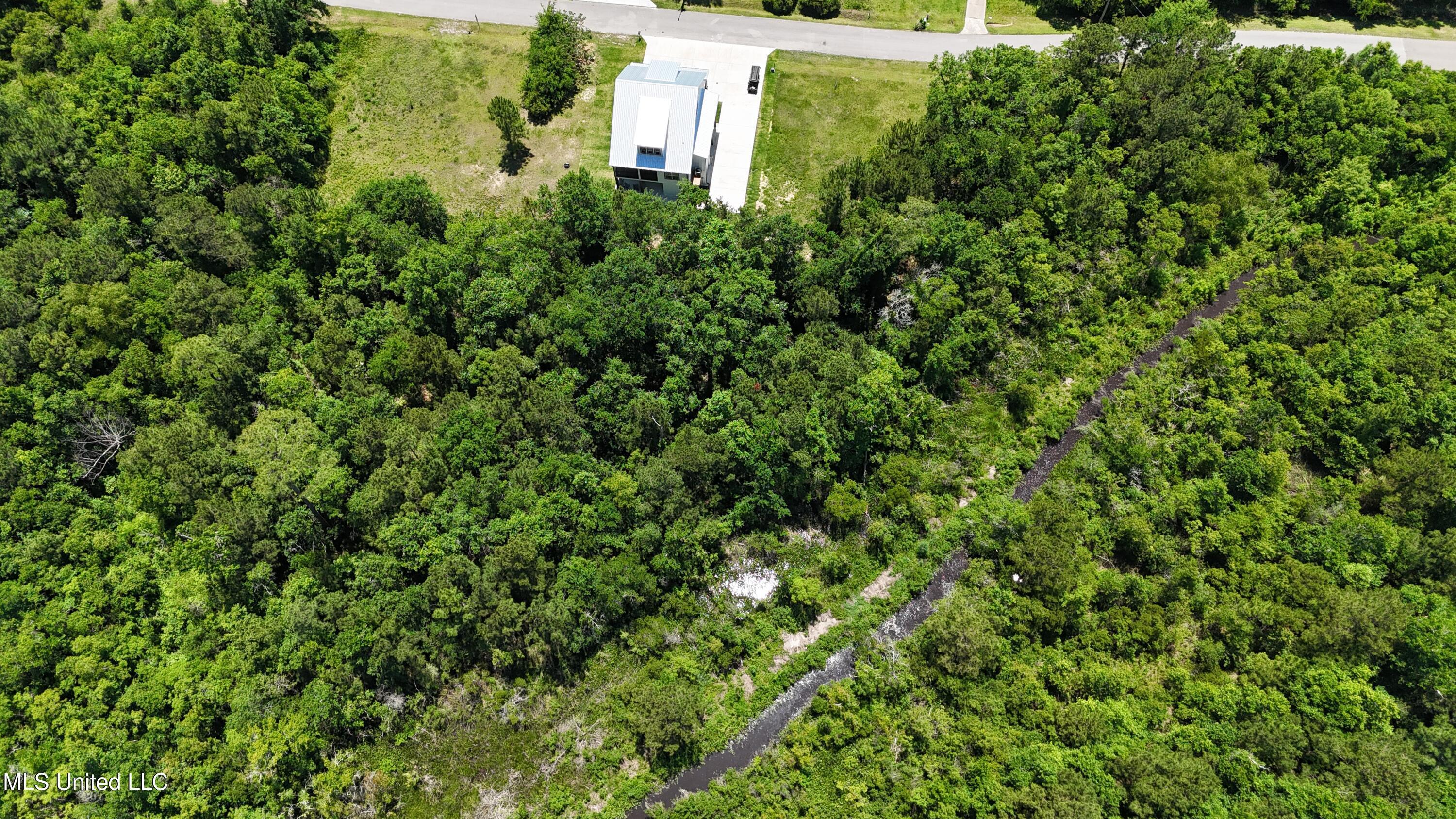 Image 4: DJI_20250511133638_0011_D