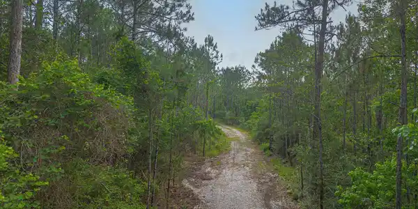 Image 2: 22-5