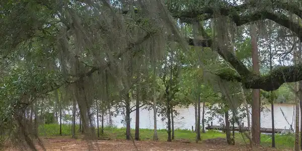 Image 3: 22-1
