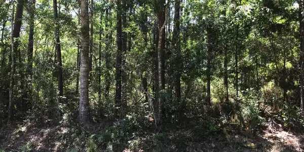 Lot 24 S 7th Street