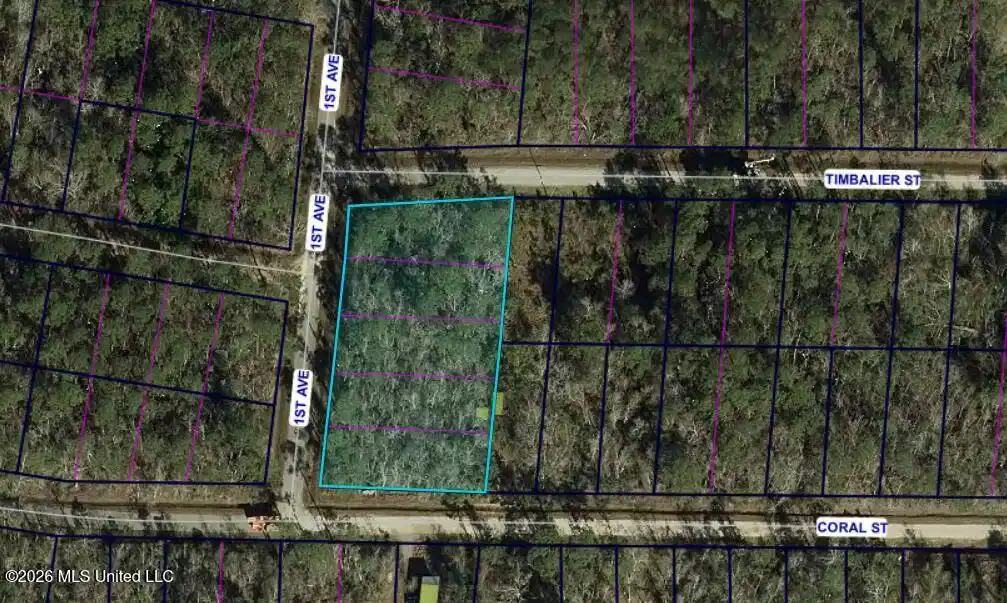 Image 1: Lot aerial view