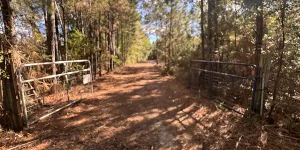 Image 2: gated entrance