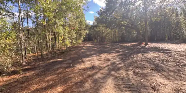 Image 4: cleared area
