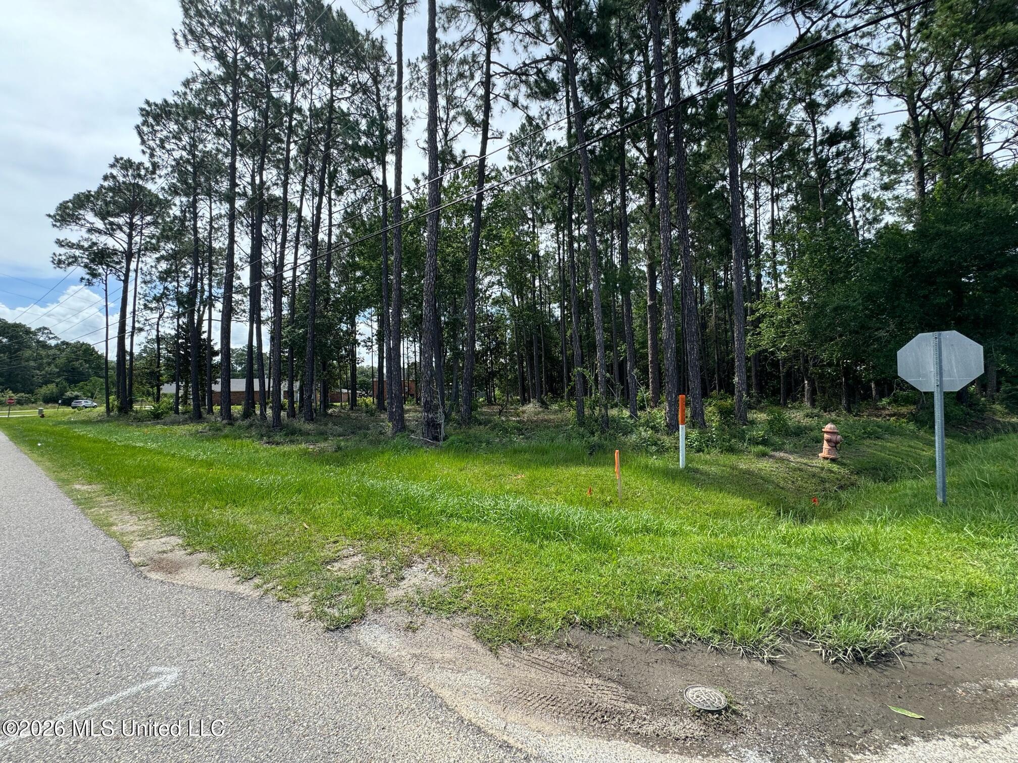 Image 1: image1 (1)
