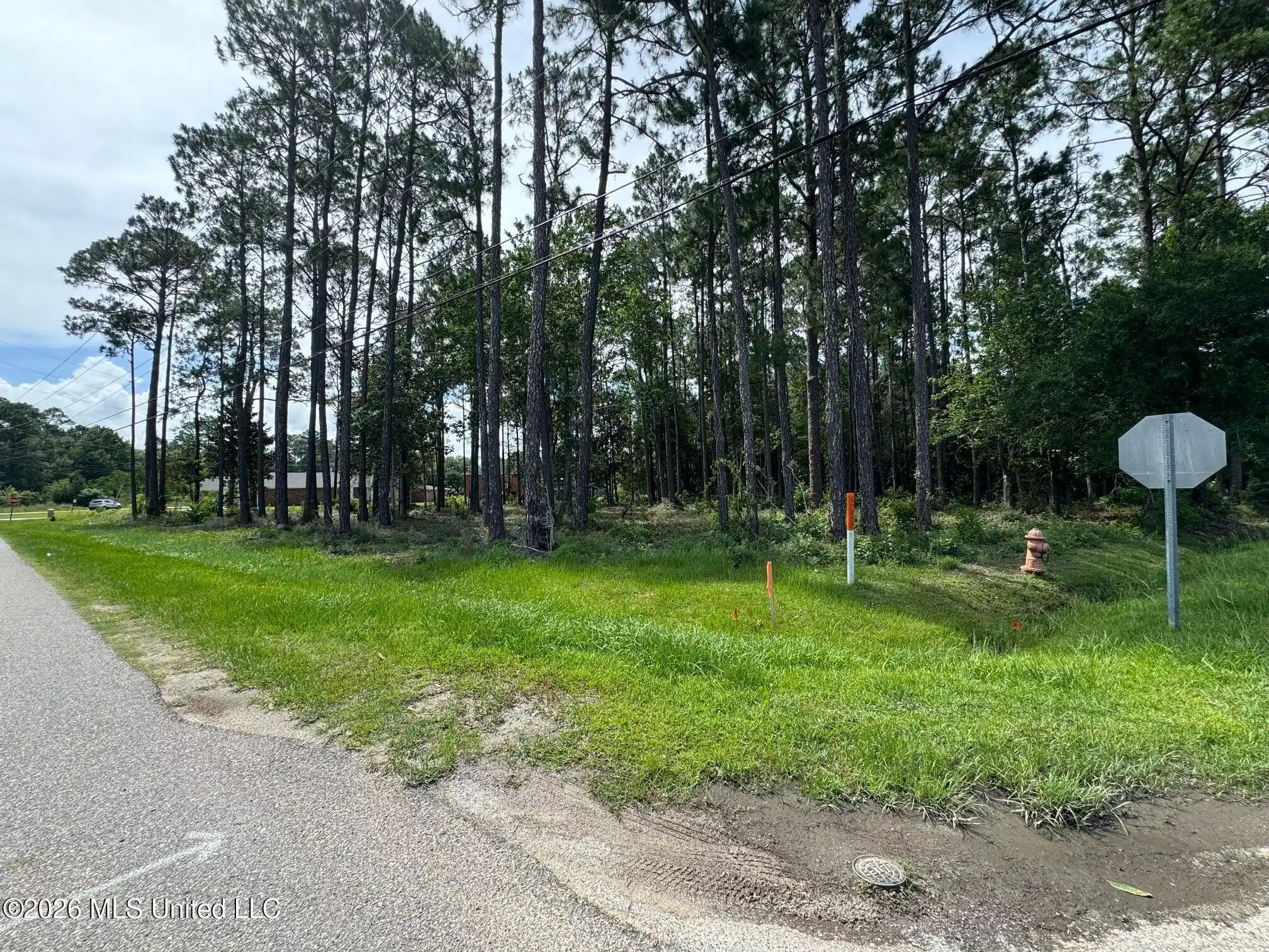 Image 1: image1 (1)