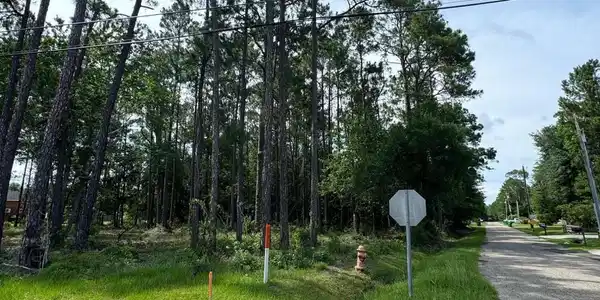 Image 2: image2 (1)