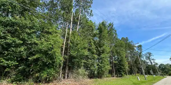 Image 3: image0 (1)
