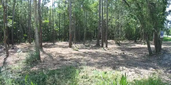 Image 3: 12-3