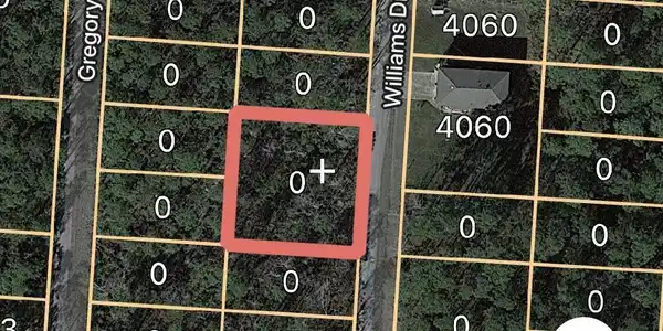 Suzanne Avenue