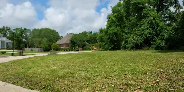 No Mauvilla Cove