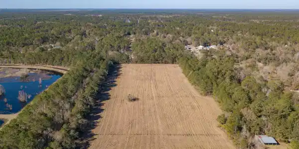 Old Gainsville Rd Road