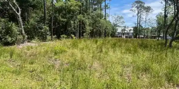 Lot 20 Birch , Lot 23 Pinewood