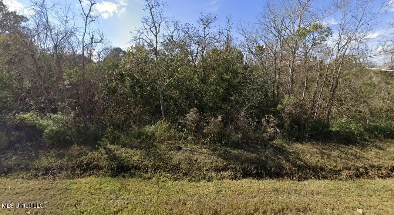 Image 1: From main road