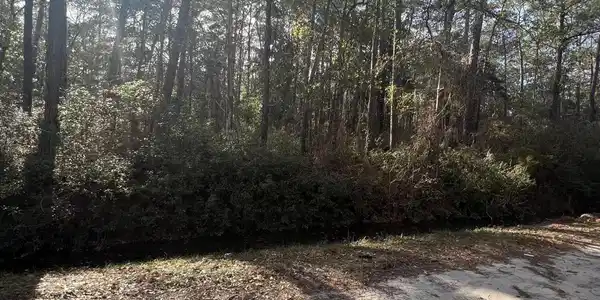 Lot 2511 Sycamore Street